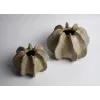 Керамическая ваза Tomas Stern 2301-17-green
