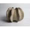 Керамическая ваза Tomas Stern 2301-21-green