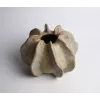 Керамическая ваза Tomas Stern 2301-21-green