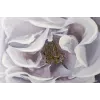 Картина Tomas Stern 81001